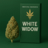 Buy White Widow Cannabis Europe