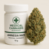 amnesia haze sativa strain europe