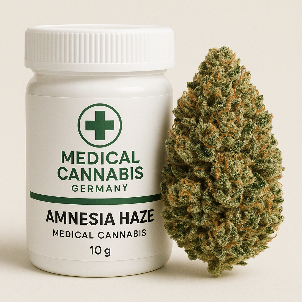 amnesia haze sativa strain europe
