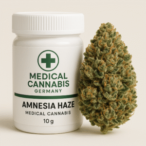 amnesia haze sativa strain europe